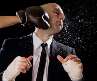 Business Boxer Series