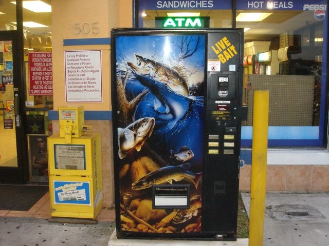 livebait