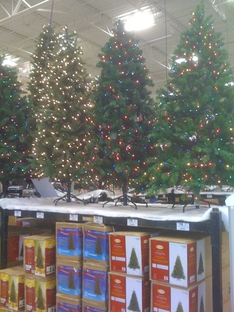 holidaytrees