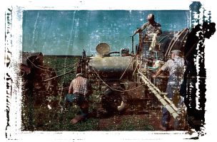 farm285