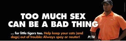 tiger-woods-peta-billboard