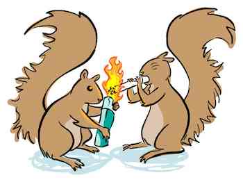 Squirrels Cause Forest Fires
