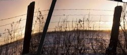 Arizona Immigration Law – What Next?