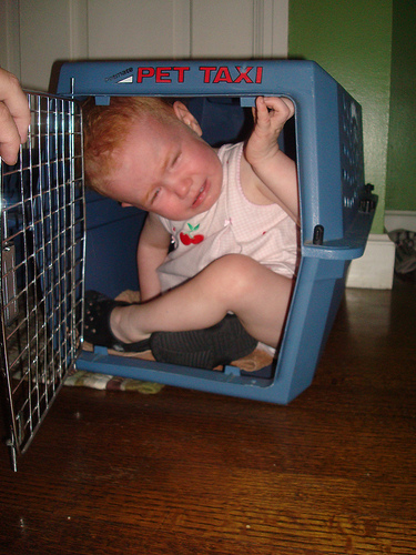Kiss Babysitting Goodbye