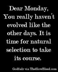Dear Monday #237